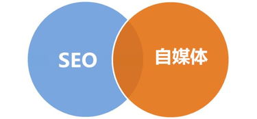行吟科技助力企業(yè)騰飛 上海網(wǎng)絡(luò)推廣策略與方法深度解析